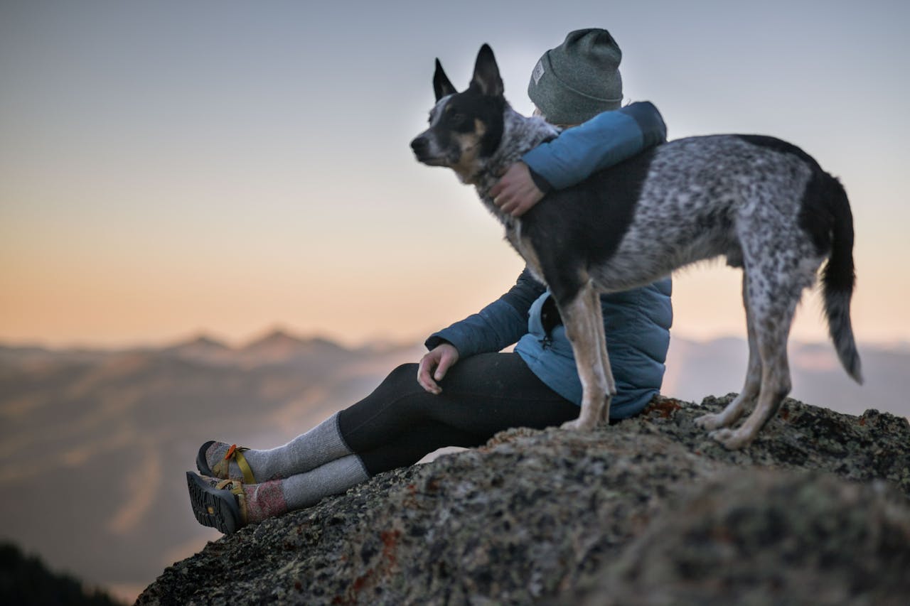 legame tra cane e uomo